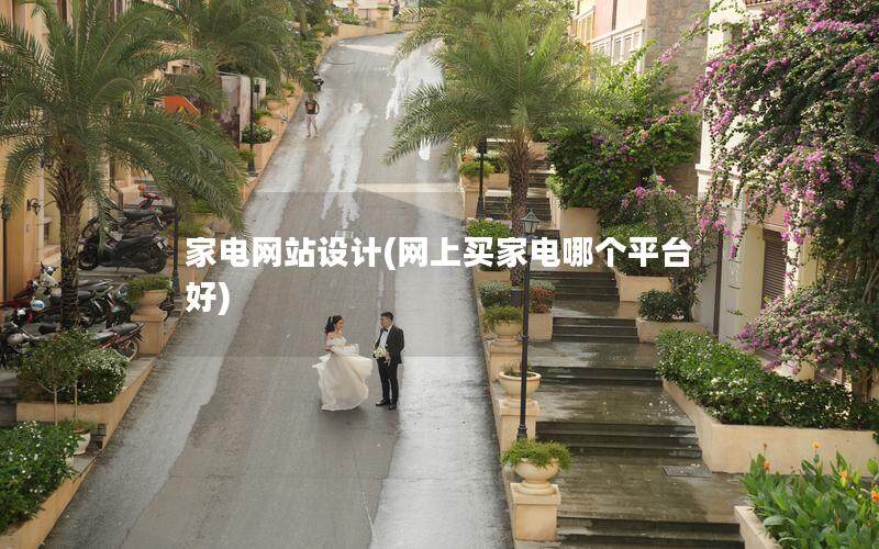 家電網站設計(網上買家電哪個平臺好)