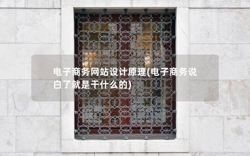 電子商務網站設計原理(電子商務說白了就是干什么的)