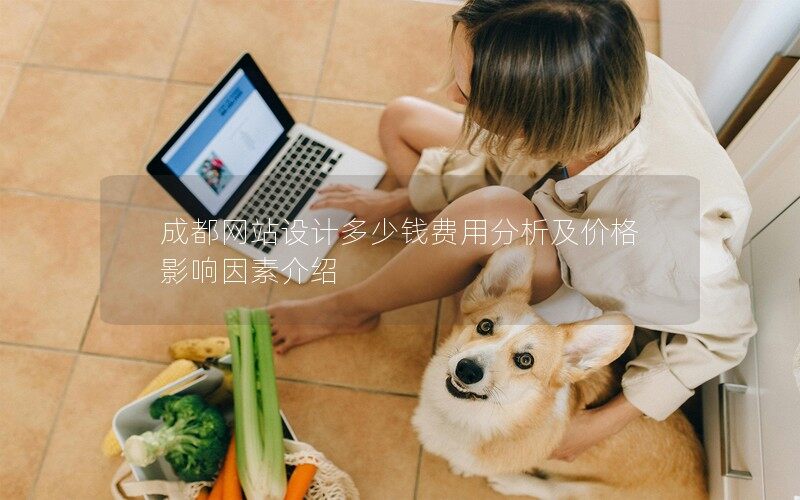 成都網站設計多少錢費用分析及價格影響因素介紹